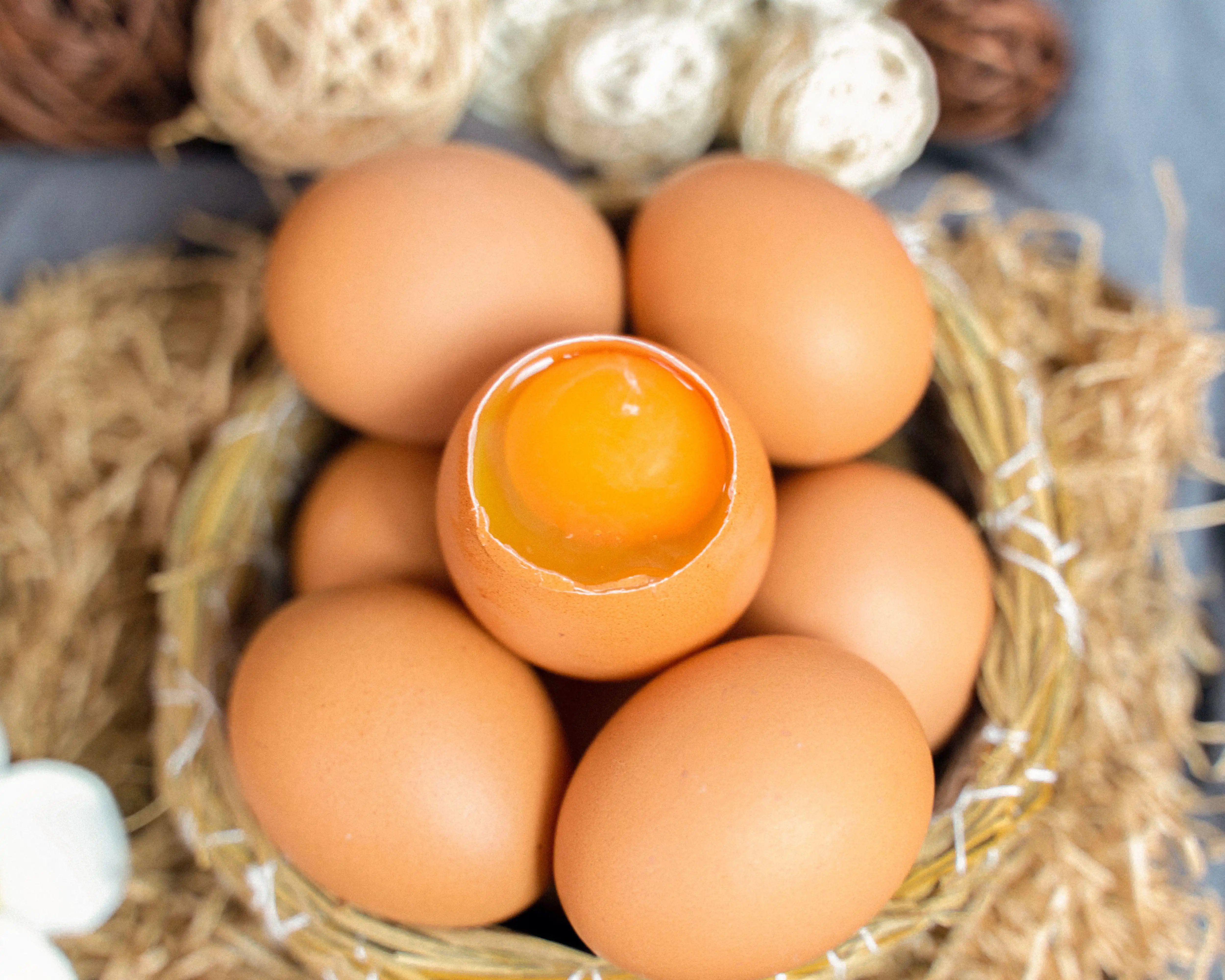 My egg 安心雞蛋，獨家營養配方飼育健康母雞，雞蛋品質高人一等